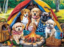 300 Pieces Puzzle for Adults  Family Campsite Large Piece Puzzle  Recycled Car