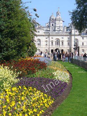 Foto 12x8 Blumenbeet im St James's Park Westminster formelle Blumenausstellung um 2011