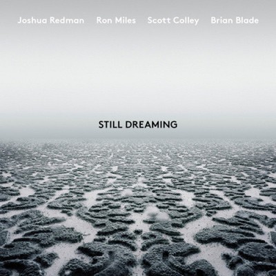 Still Dreaming (feat. Ron Miles, Scott Colley & Brian Blade) by Joshua Redman