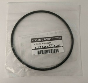 Nissan 17342 01a00