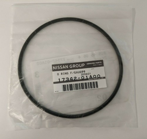 Nissan 17342 01a00