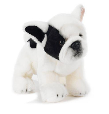 Plush Company 15865 Peluche Cane Bulldog Francese CM dog