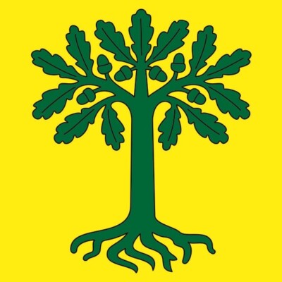 Fahne Flagge Marthalen (Schweiz) verschiedene Größen Premiumqualität