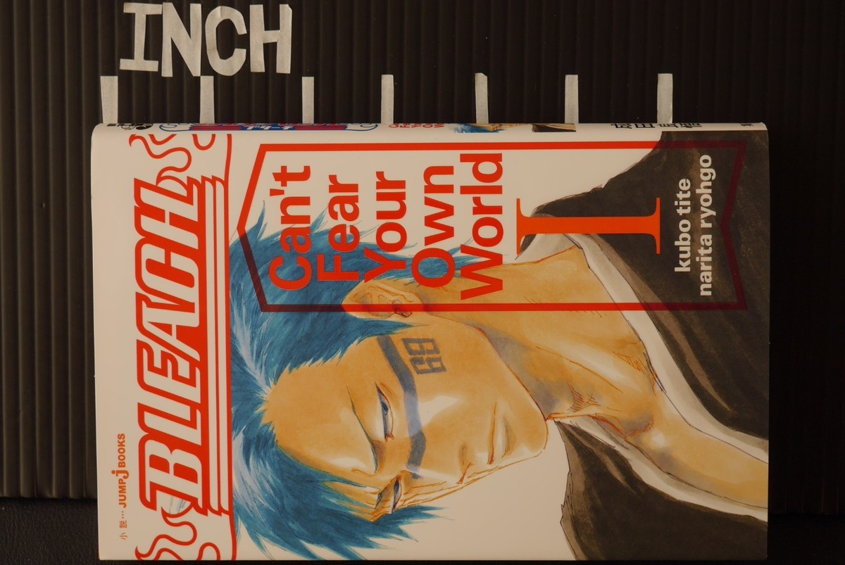 JAPAN Ryogo Narita,Tite Kubo novel: BLEACH Can't Fear Your Own