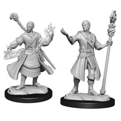 D&D Nolzur's Marvelous Miniatures: Half-Elf Wizard Male