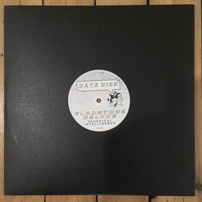 GLADSTONE DELUXE Spherical Intelligence 12'' NEW VINYL Data Disk 
