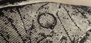 Black surgical steel hoop w/ ball - Universal!