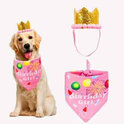 Dog Birthday Bandana Hat Set, Dog Cat Puppy Birthday Party Supply For S/M pet