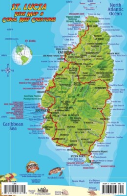 St. Lucia Dive Map & Reef Creatures Guide Waterproof Fish Card by Franko Maps