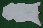 GOAT Western taxidermy Hide Rug Natural Pattern Fur Goat Hide Rode SA-3907 — photo 2