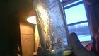 VIN~"WAGER BROS. TROY N.Y. WB IN STAR LOGO~ICE BLUE~8 FL OZ~CROWN TOP~WB ON BOTT — photo 5