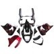 Fairing Kit Fit for Kawasaki Ninja 2000 2001 ZX-9R Red Flames Black Bodywork