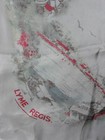 Foto 10 di 11