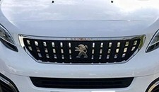 Calandre Peugeot EXPERT