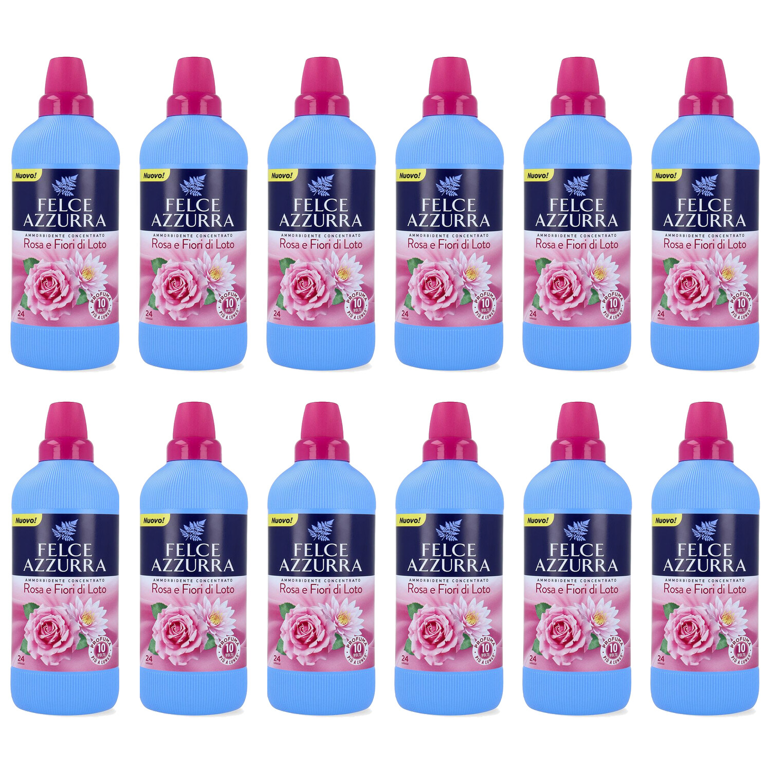 Kit 12 Ammorbidenti Felce Azzurra Rosa e Fiori di Loto - Carezza di Seta