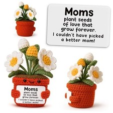 Crochet Daisy Gift for Mom, Unique Handmade Flower Pot Present from Daughter