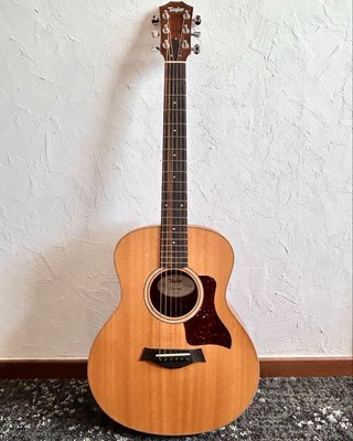 With Case Taylor Gs Mini Rosewood No.MG2237