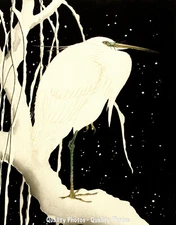 Heron in Snow 8.5x11" Photo Print Ohara Koson Japanese Fine Bird Art Winter