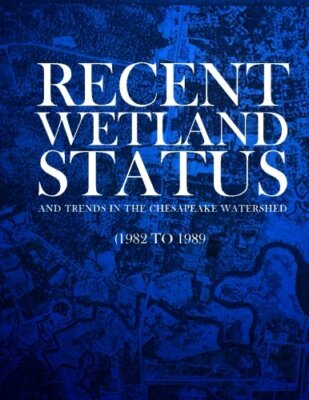 Recent Wetland Status and Trends in the Chesapeake Watershed (1982 to 1989):-,