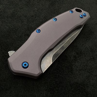 Blue Titanium Screw set for Kershaw Link Folder 1776 Link ( No Knife ) 