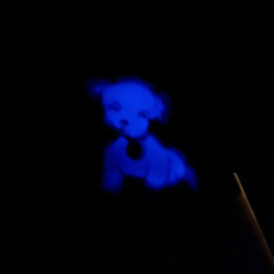 Cuadro Mágico Brilla en la Oscuridad Luminoso A. E. DIEDERICH Enmarcado Perro Guardería Decoración Foto 2 de 4