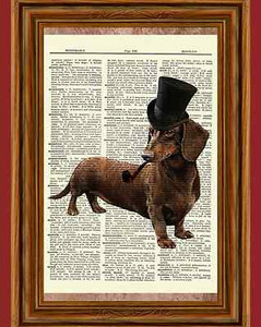 Steampunk Dachshund Wiener Dog Dictionary Curious Art Print Poster Picture OOAK