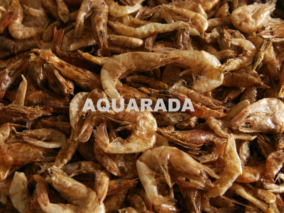 AQUARADA Süsswasser Shrimps Garnelen.Reptilienfutter.Teichfutter 250ml