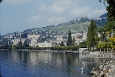 RED BORDER SLIDE Lakeside town on a vine-covered hill, swans in foreground.