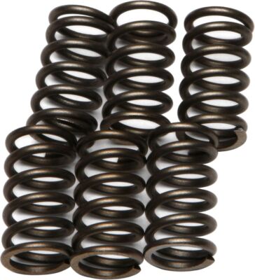 EBC CSK Clutch Spring Kit For Kawasaki ZX750A GPZ 1983-1985 CSK10