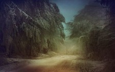 Landscape mist nature trees winter dirt road snow frost Custom Gaming Mat Desk