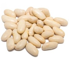 CANNELLINI BEANS White Kidney Bean Dry 1kg 2kg 5kg 10kg 15kg 20kg 30kg 40kg Bulk