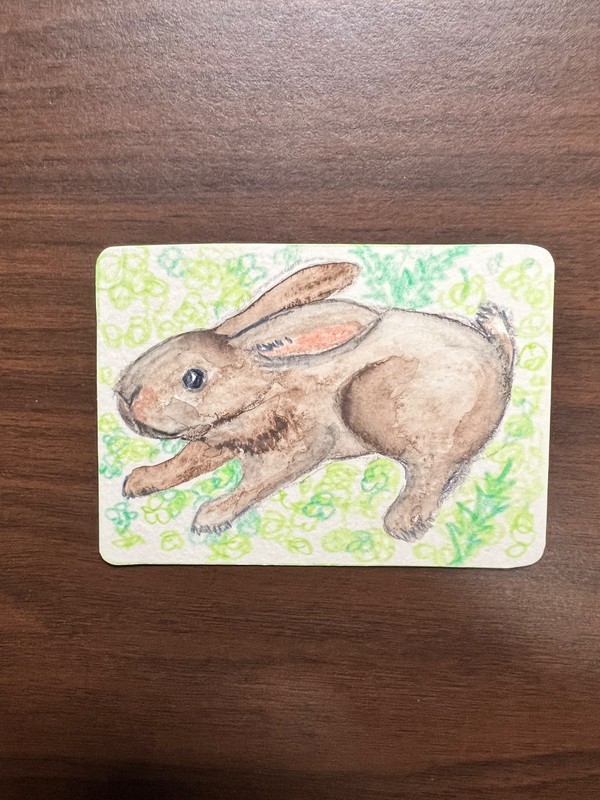 ACEO Wild Rabbit by Cady Fontana Art 2.5X3.5 ATC original WATERCOLOR painting
