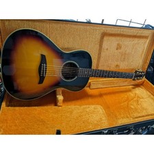 Acoustic Guitar Charvel CAM-400 Solid Wood Top Natural