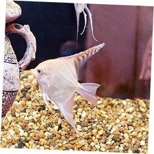 5.7 lbCoarse Sand Stone - Silica Sand for plants, Soil Cover Succulents and