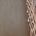 Foto 10 di 12