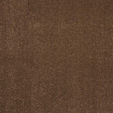 Dark Brown Stafford Twist Carpet 12mm Thick Stain Resistant Bedroom Lounge