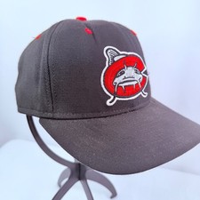 Vintage Carolina Mudcats MiLB Baseball Snapba...