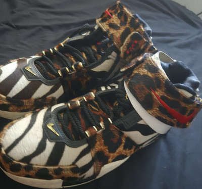 Nike Zoom LeBron 2 High Top Animal Print Multicolor Basketball Sneakers
