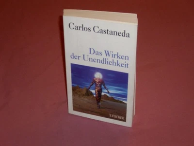 Das Wirken der Unendlichkeit (Carlos Castaneda) _ Sehr guter Zustand - Bild 1 von 4