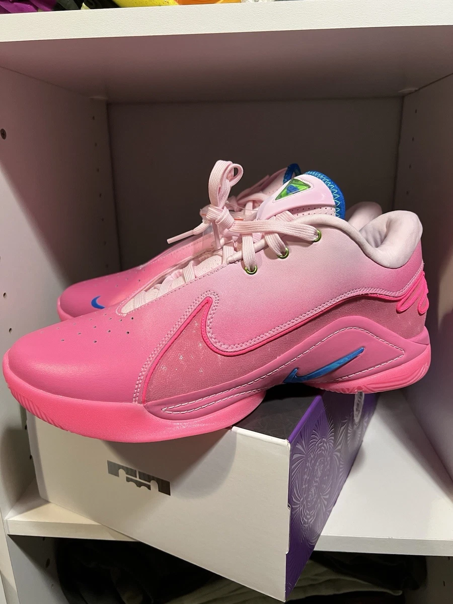 Nike LeBron 22 I Promise | eBay