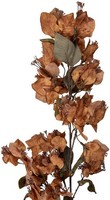 Clayre & Eef 5PL0250Y Dekorationszweig Mit Blumen Braun-GrüN 10X15X101 Cm