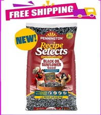 Pennington Recipe Selects Black Oil Sunflower Seed Dry Wild Bird Feed, 40 lb.