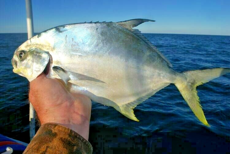10 Ami Da Pesca A Triplo Triplo Gancio Per Esche Da Pesca Inversa - Foto 9