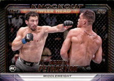 Armen Petrosyan Middleweight - 2024 UFC Knockout #74