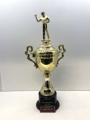 Darts Award Trophy 16''  Free Custom Engraving M or F Ships 2-3 Day Priority