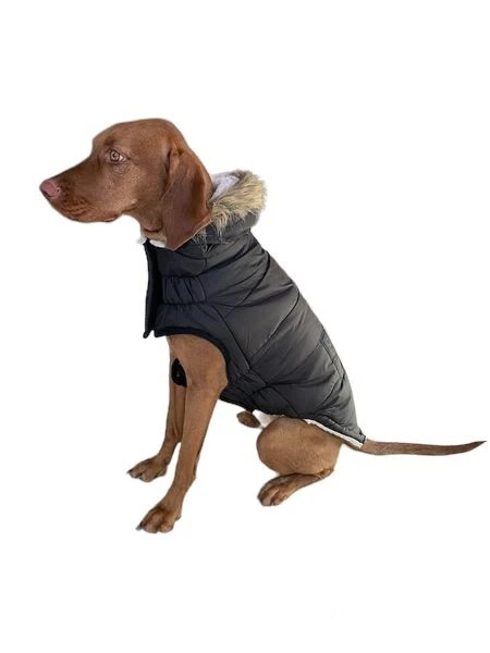Hundemantel Wintermantel warm Hund Jacke GF Pet Urban Parka schwarz XS-XXXL NEU
