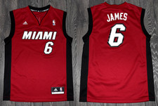 LeBron, Saints, Vuvuzela, Highlight eBay's 2010 Top Shopped Report 23