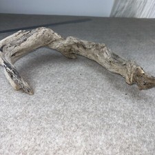 14" Natural Driftwood w/ Barnacles; Snake, Lizard, Reptile, Air Plant Terrarium