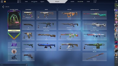 Valorant Account [520  Wert] Gold 1 mit Skins und OG Battlepass