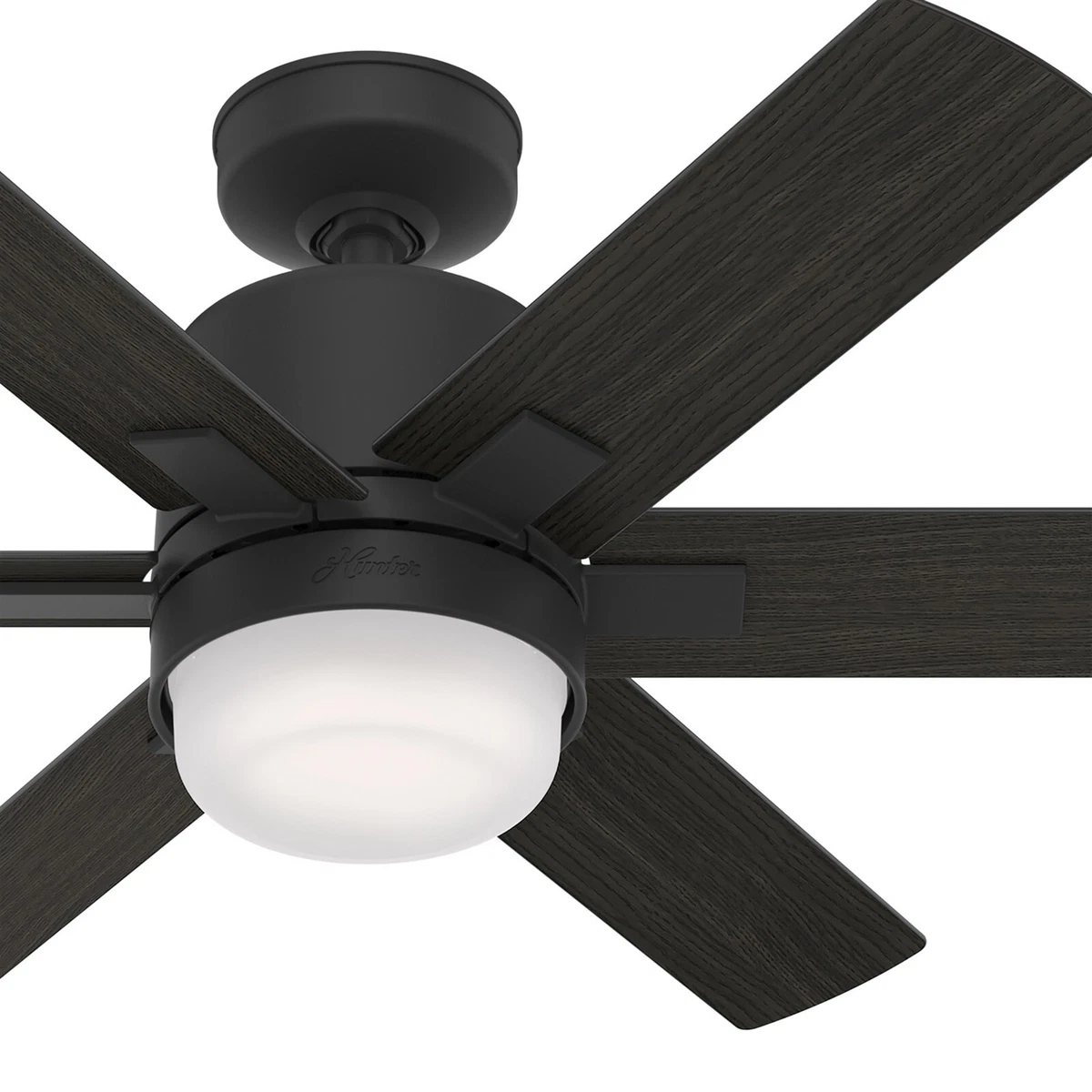 How To Install Hunter Ceiling Fan Light Kit Shelly Lighting